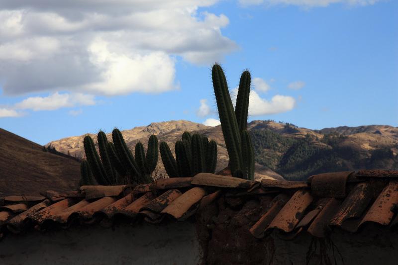 53-Cusco,8 luglio 2013.JPG